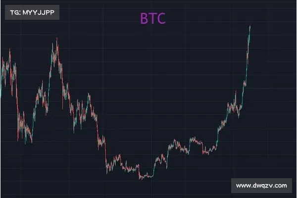 “山寨 312”与“BTC 新高”,谁在崩盘中赚走了你的钱? “山寨 312”与“BTC 新高”,谁在崩盘中赚走了你的钱?