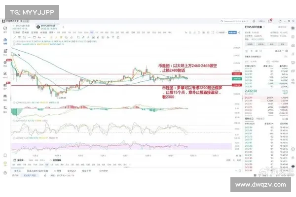 2024 年 11 月公链行业研报：比特币创历史新高引领市场全面上涨